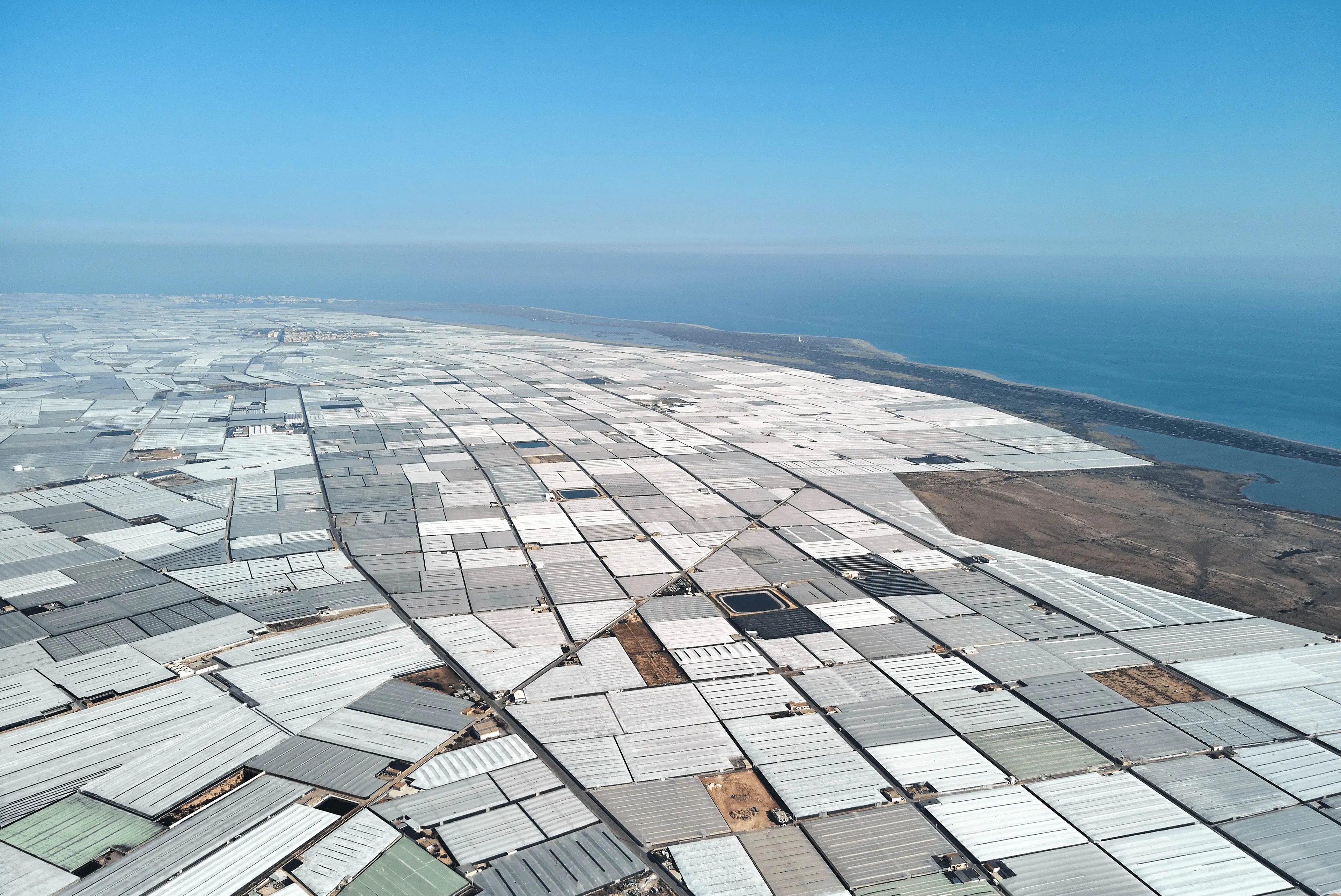 Aerial view of agricultural fields covered in white agri film