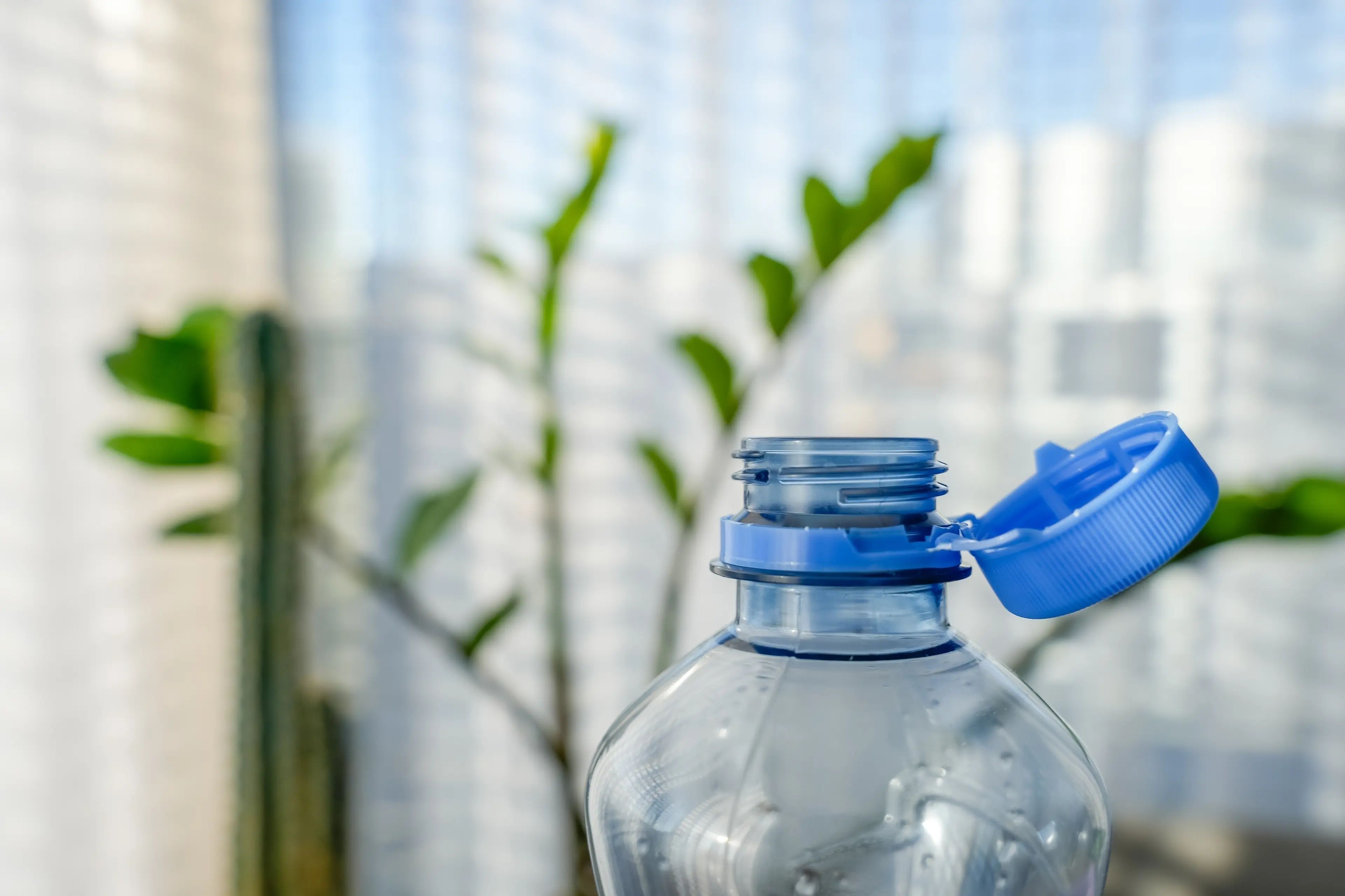 Blue capped bottle with green plant background