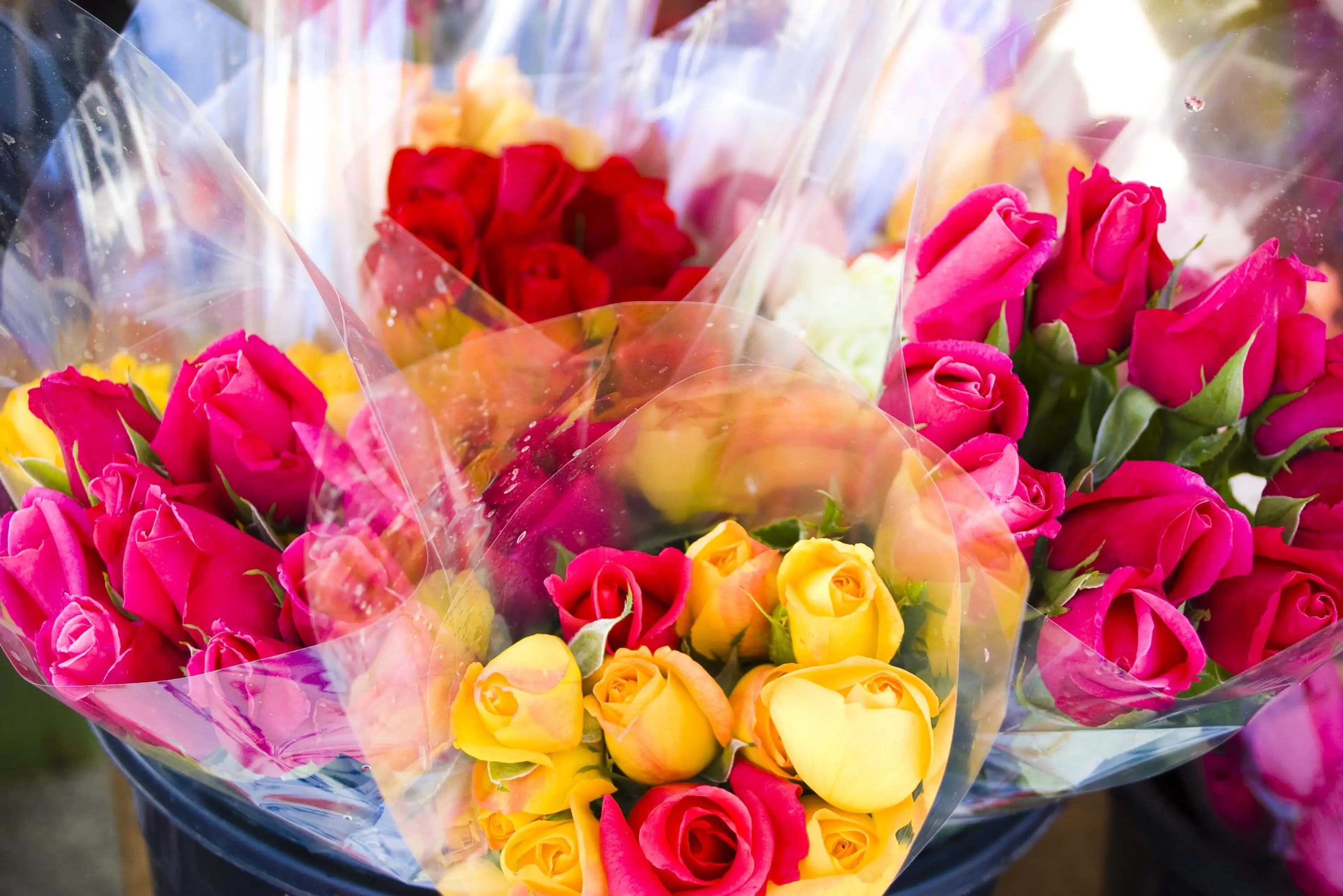 Flowers wrapped in biax film